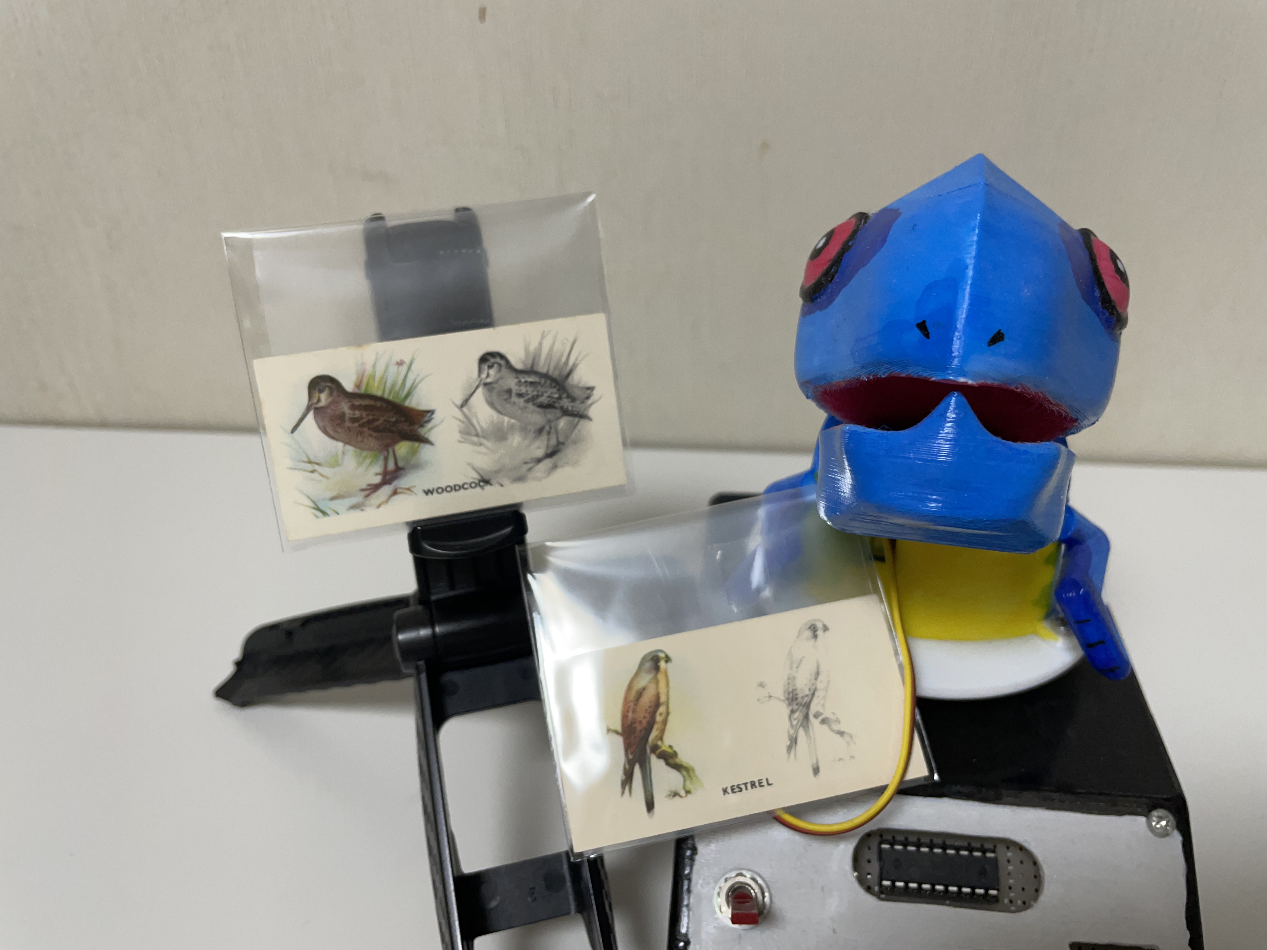 話したいことの写真